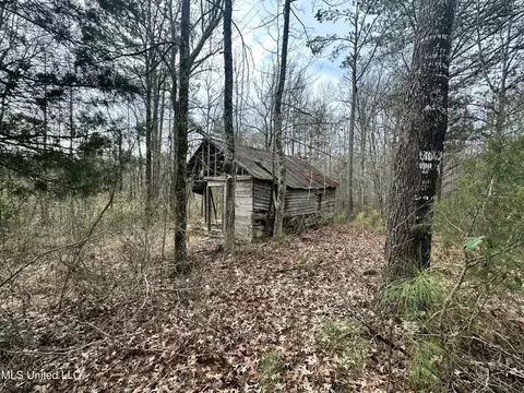 Bagasha Road, Vaiden, MS 39176 photo 51