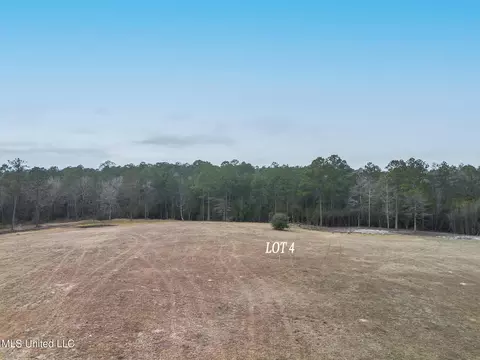 lot4 Kahler Ln, Mchenry, MS 39561