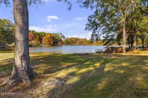 View/Area - 136 Trails End, Flora, MS 39071 photo 2 of 7