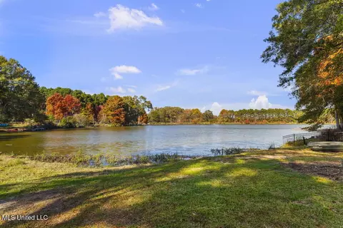 View/Area - 136 Trails End, Flora, MS 39071 photo 3 of 7