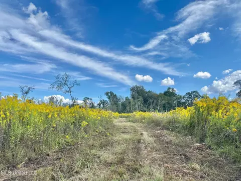 5 Highway 35, Walnut Grove, MS 39189 photo 14