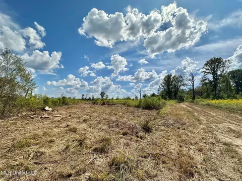5 Highway 35, Walnut Grove, MS 39189 photo 23