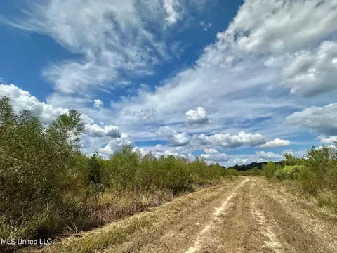 5 Highway 35, Walnut Grove, MS 39189 photo 29