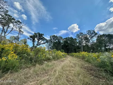 5 Highway 35, Walnut Grove, MS 39189 photo 17