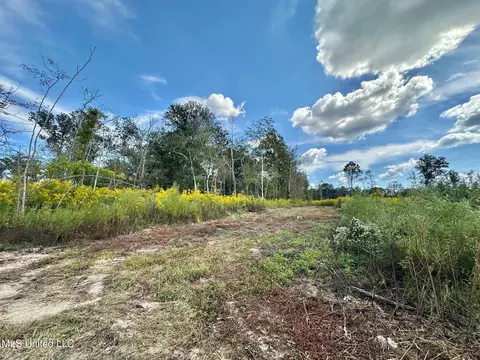 5 Highway 35, Walnut Grove, MS 39189 photo 16