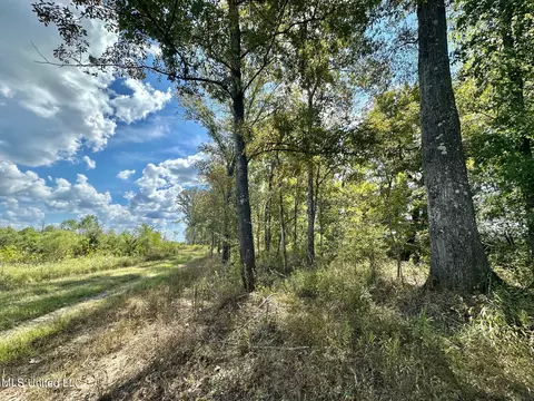 5 Highway 35, Walnut Grove, MS 39189 photo 27
