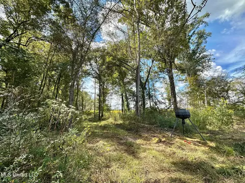 5 Highway 35, Walnut Grove, MS 39189 photo 18