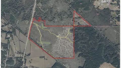 5 Highway 35, Walnut Grove, MS 39189 photo 48