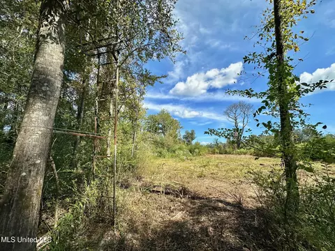 5 Highway 35, Walnut Grove, MS 39189 photo 5