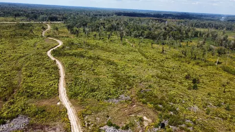 5 Highway 35, Walnut Grove, MS 39189 photo 36