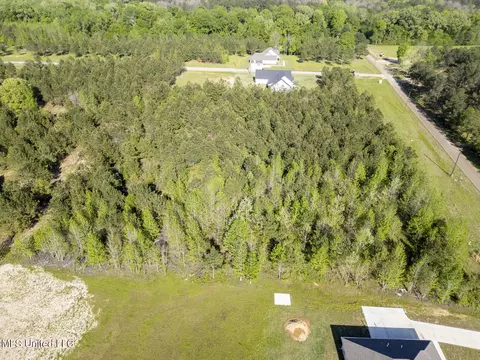 Stout Road, Canton, MS 39046 photo 3