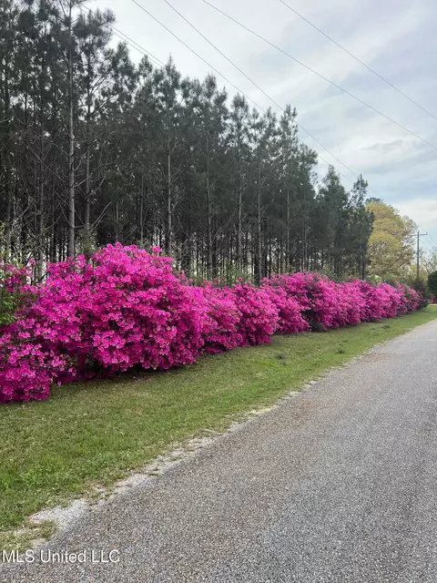 Other - 3159 Claude Smith Rd, Magnolia, MS 39652 photo 19 of 20
