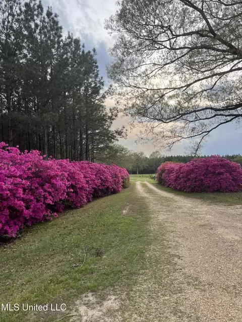 Exterior - 3159 Claude Smith Rd, Magnolia, MS 39652 photo 11 of 11