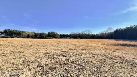 Other - 3159 Claude Smith Rd, Magnolia, MS 39652 photo 13 of 20