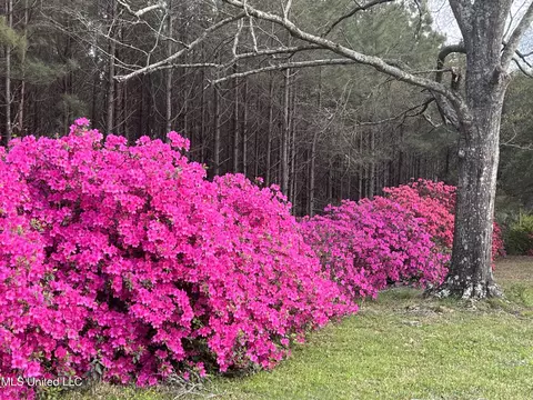 Other - 3159 Claude Smith Rd, Magnolia, MS 39652 photo 20 of 20