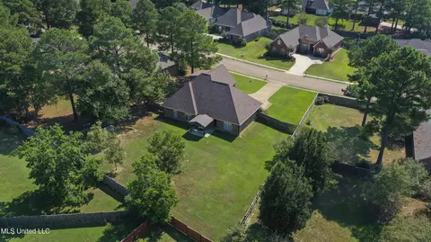 View/Area - 103 Elm Ct, Madison, MS 39110 photo 4 of 5
