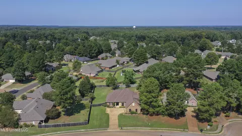 View/Area - 103 Elm Ct, Madison, MS 39110 photo 2 of 5