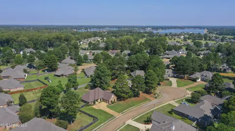 View/Area - 103 Elm Ct, Madison, MS 39110 photo 3 of 5