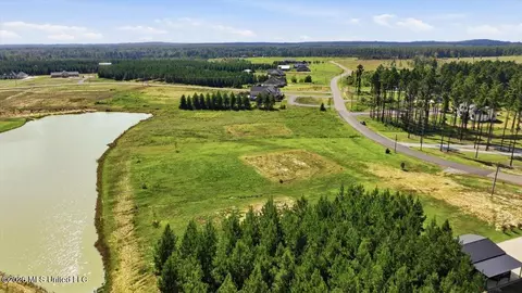 670 Stull Rd, Brandon, MS 39047 photo 9