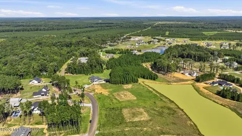 670 Stull Rd, Brandon, MS 39047 photo 20