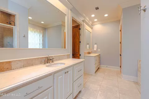 Bath - 104 Ivy Brook Dr, Madison, MS 39110 photo 2 of 12