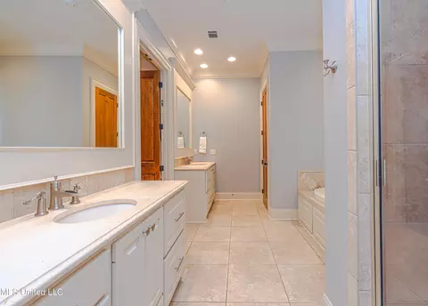 Bath - 104 Ivy Brook Dr, Madison, MS 39110 photo 3 of 12