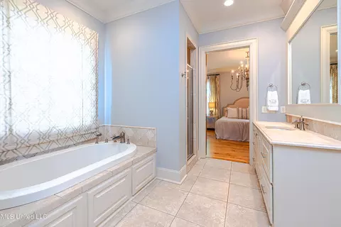 Bath - 104 Ivy Brook Dr, Madison, MS 39110 photo 7 of 12