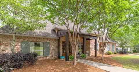 Other - 104 Ivy Brook Dr, Madison, MS 39110 photo 3 of 15