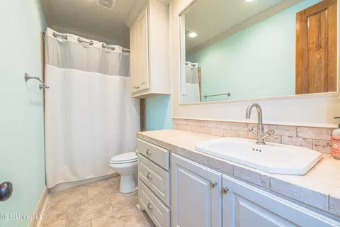 Bath - 104 Ivy Brook Dr, Madison, MS 39110 photo 8 of 12