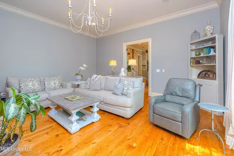 Living - 104 Ivy Brook Dr, Madison, MS 39110 photo 4 of 5