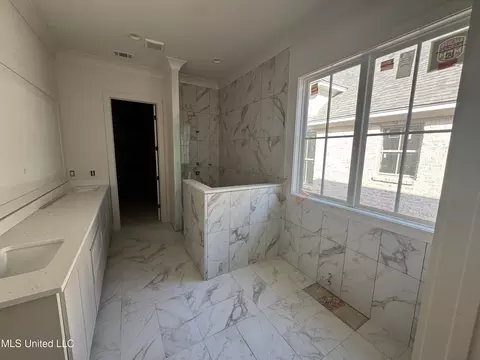 Bath - 135 Water St, Madison, MS 39110 photo 1 of 3
