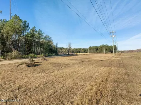 0 Us 98, Mclain, MS 39456 photo 7