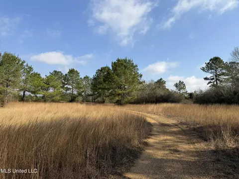 Johnson Road, Sandy Hook, MS 39478 photo 3
