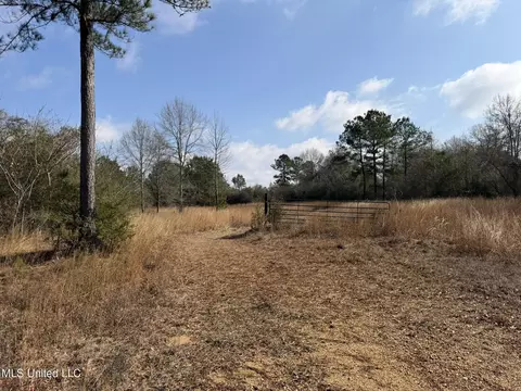Johnson Road, Sandy Hook, MS 39478 photo 5