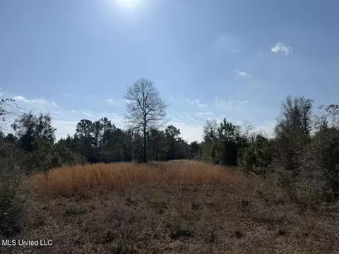 Johnson Road, Sandy Hook, MS 39478 photo 25