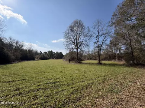 Johnson Road, Sandy Hook, MS 39478 photo 14