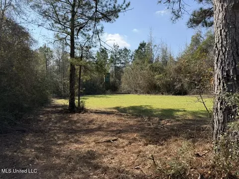 Johnson Road, Sandy Hook, MS 39478 photo 17