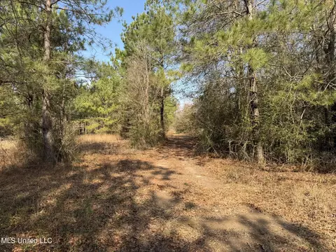 Johnson Road, Sandy Hook, MS 39478 photo 9