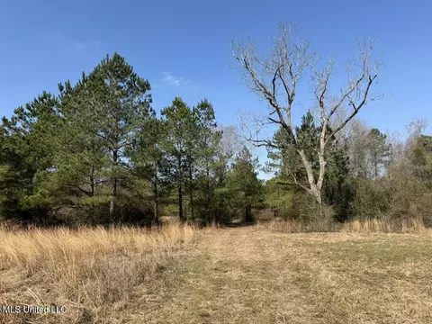 Johnson Road, Sandy Hook, MS 39478 photo 22