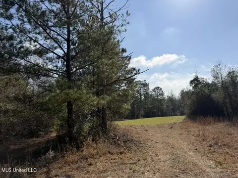 Johnson Road, Sandy Hook, MS 39478 photo 16