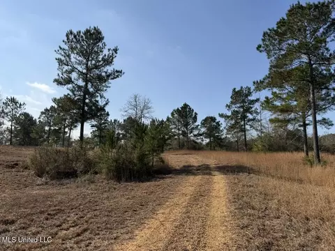 Johnson Road, Sandy Hook, MS 39478 photo 24