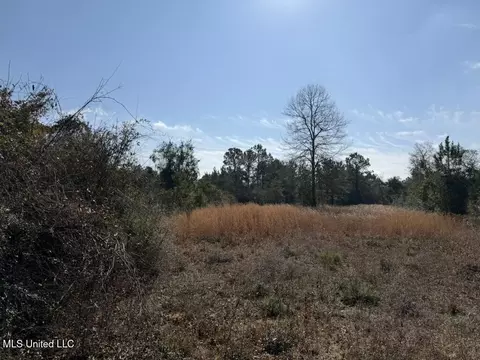Johnson Road, Sandy Hook, MS 39478 photo 26
