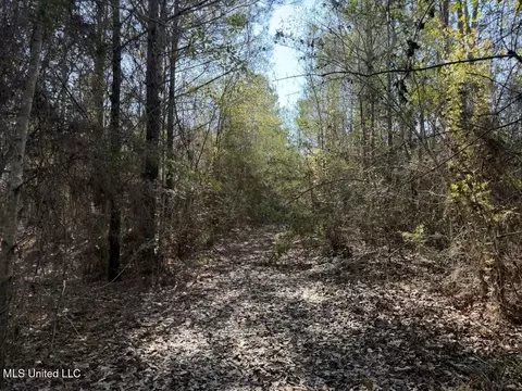 Johnson Road, Sandy Hook, MS 39478 photo 20