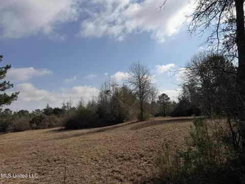 Johnson Road, Sandy Hook, MS 39478 photo 6
