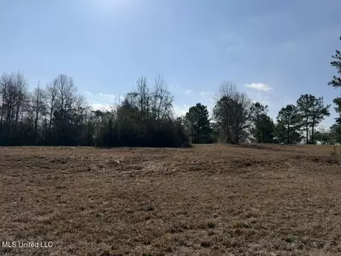 Johnson Road, Sandy Hook, MS 39478 photo 23