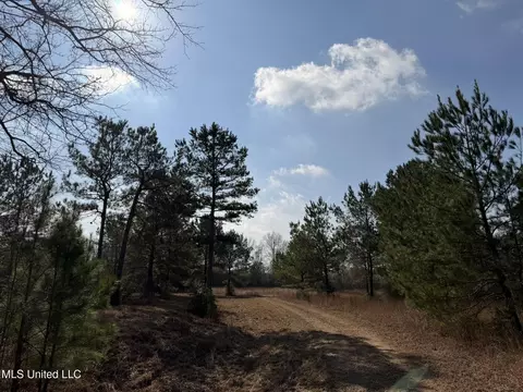 Johnson Road, Sandy Hook, MS 39478 photo 7