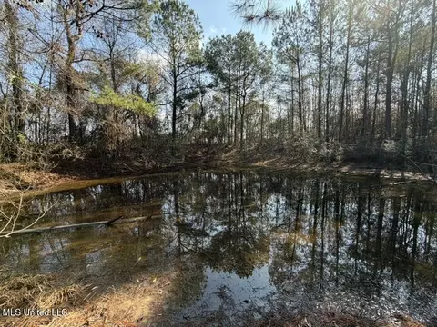 Johnson Road, Sandy Hook, MS 39478 photo 19