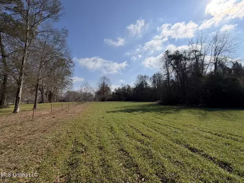 Johnson Road, Sandy Hook, MS 39478 photo 12