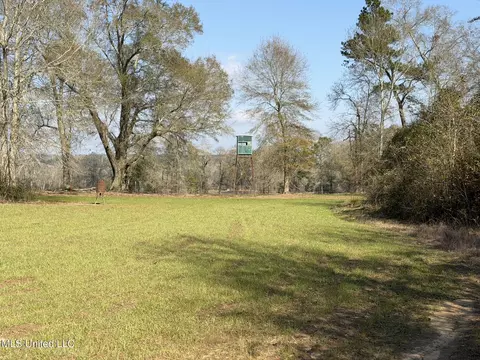 Johnson Road, Sandy Hook, MS 39478 photo 10