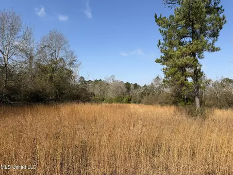 Johnson Road, Sandy Hook, MS 39478 photo 2